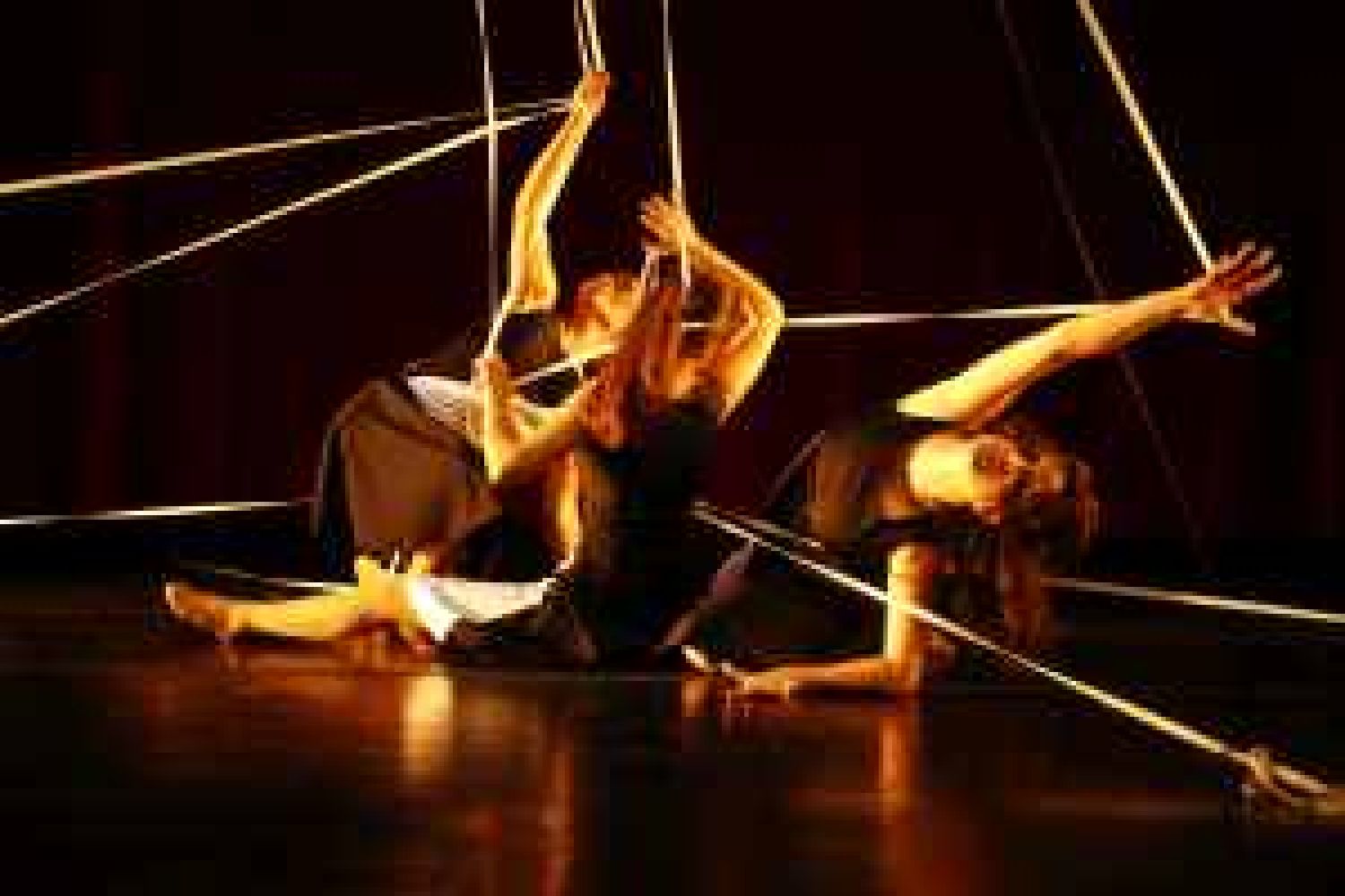 XXXI Mostra de Dansa XXXI Mostra de Dansa