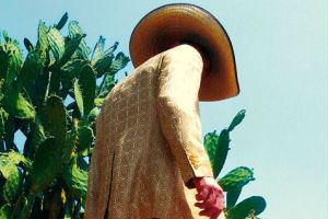 MONTALDO, Fund. Coll