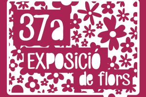 37a. Exposició de F
