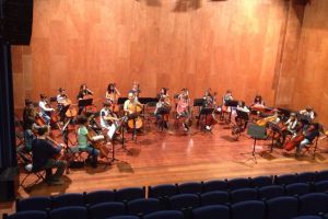 Estudiants i profess