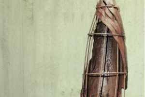 Exposició de Narcí