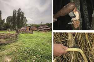 Dia Internacional de