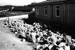 Mauthausen, l'univer
