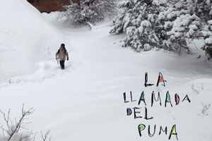 Presentació del lli