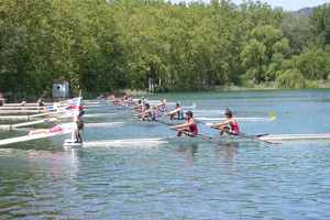 Jornada sobre els es