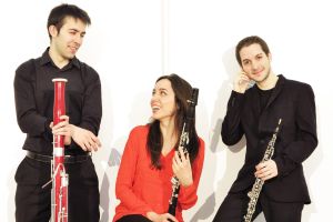 Aëris trio, flamant