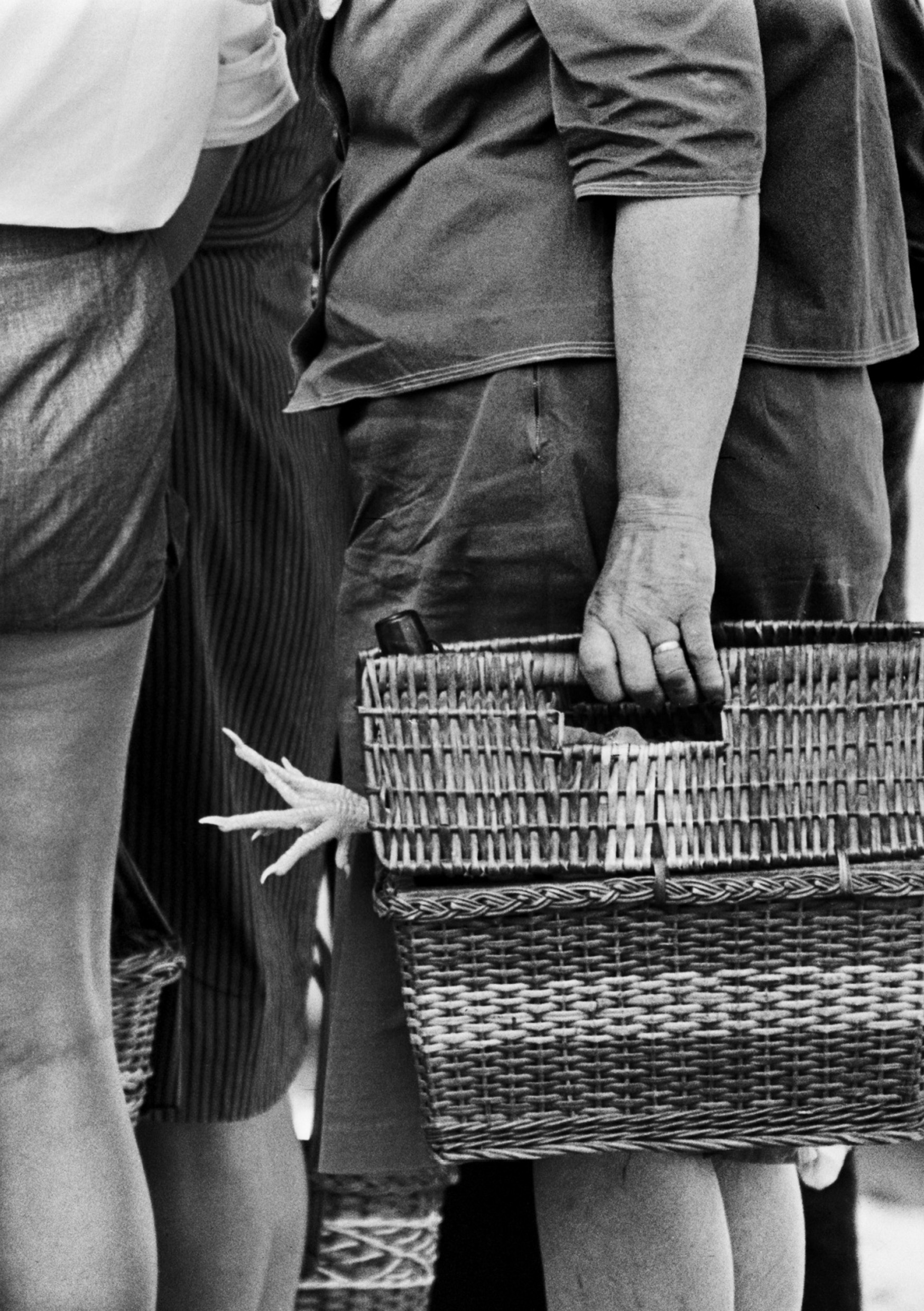 Banyoles en dia de mercat | © Eugeni Forcano