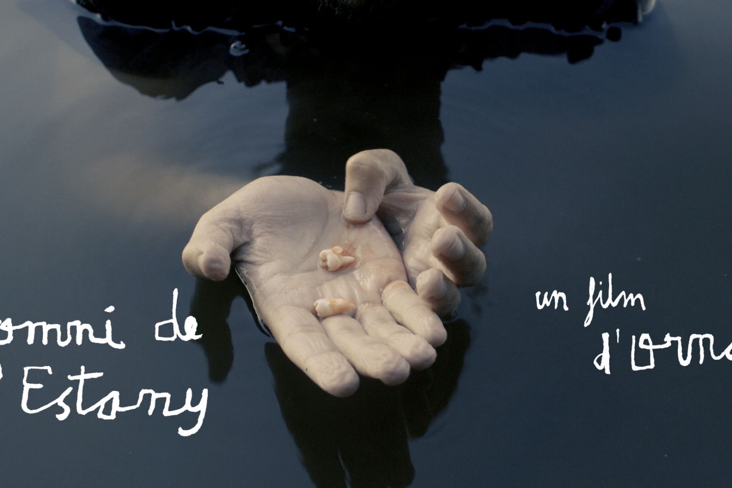 SOMNI DE L'ESTANY SOMNI DE L'ESTANY