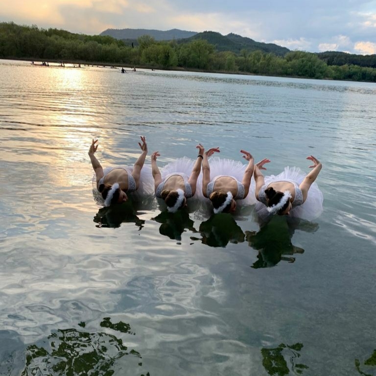 Mostra de dansa