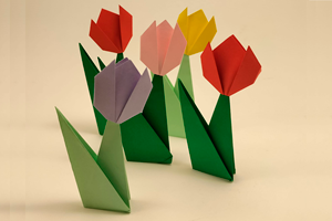 Pleguem flors