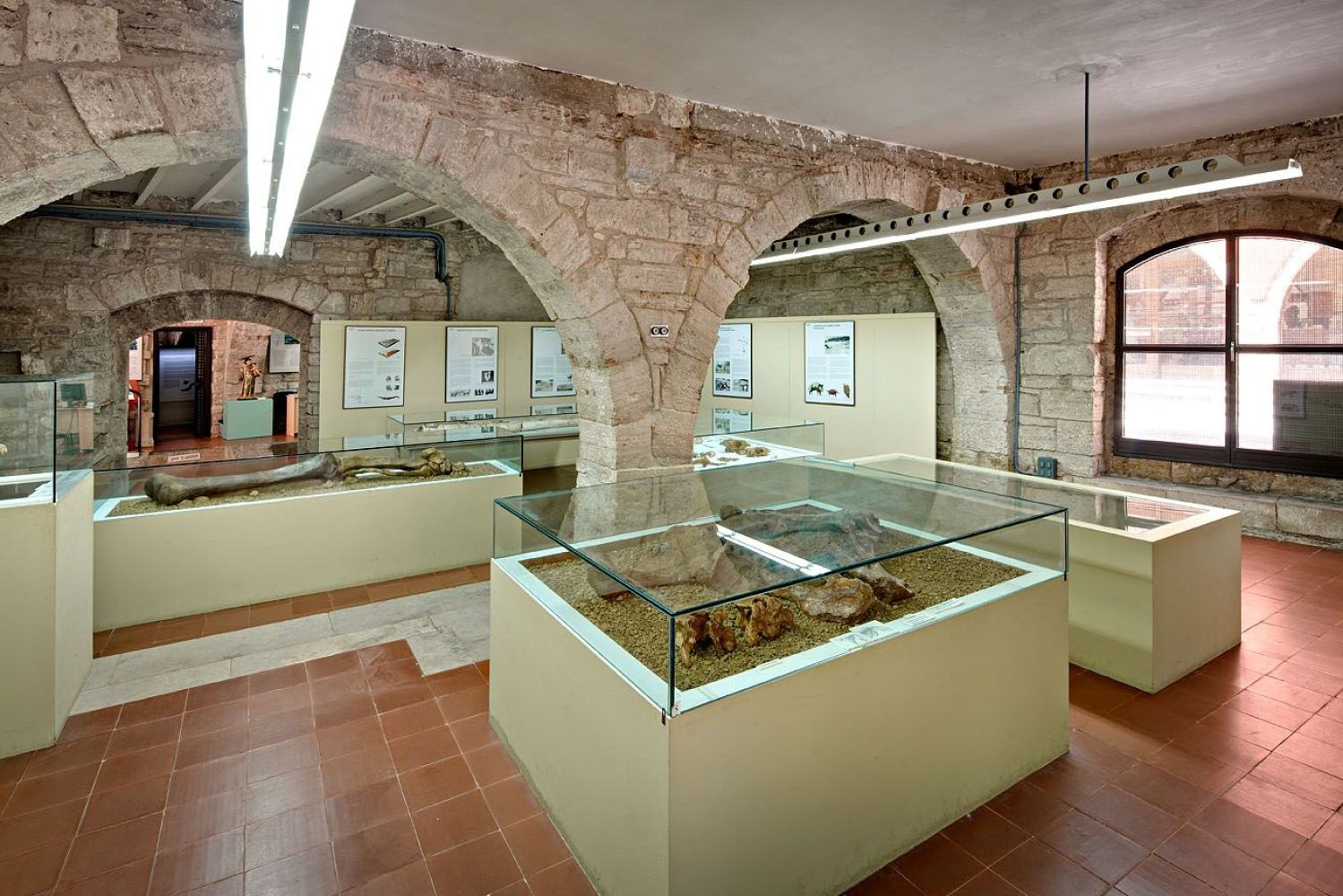 Museu Arqueològic Comarcal