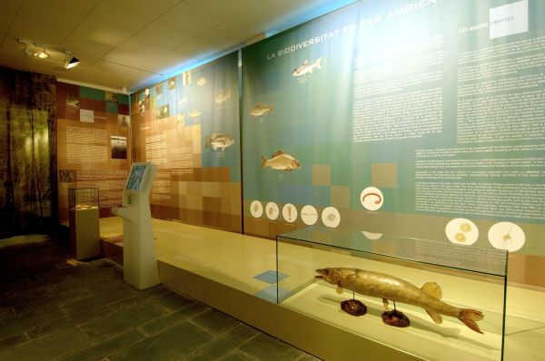 Museu Darder